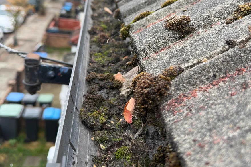 A gutter run packed with moss, soil, grass and a fallen leaf before clearing