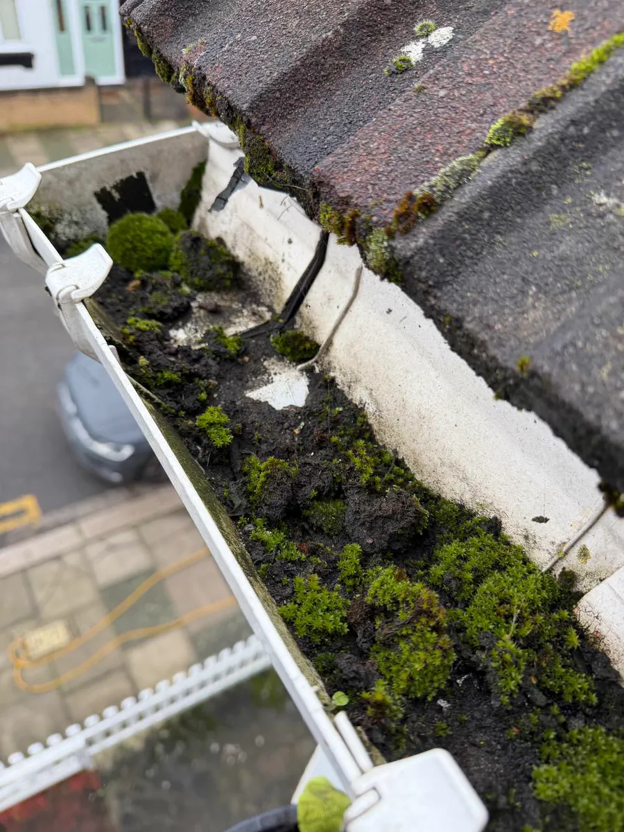 A white gutter line full of leaves, moss and grit beneath a tiled roof