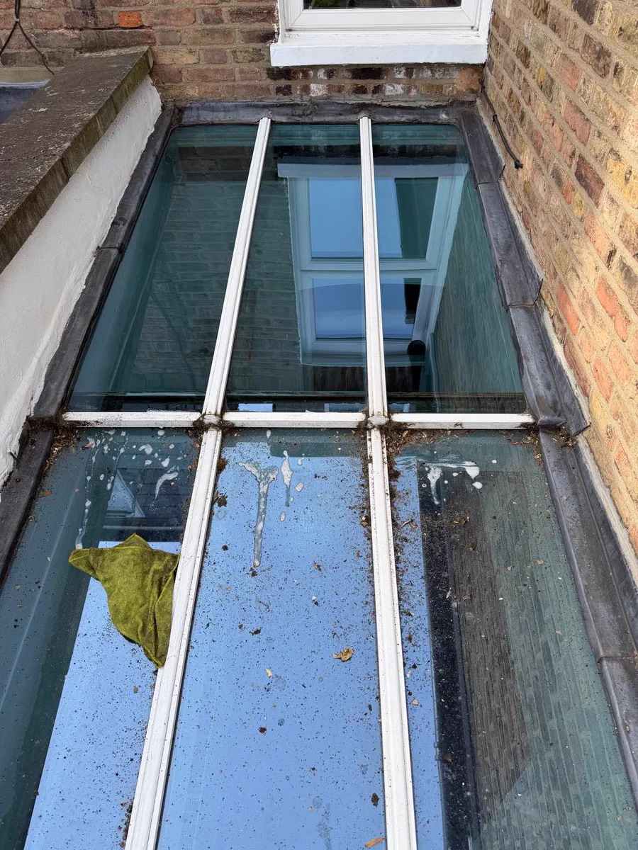 A roof lantern half cleaned: the upper panes clear, the lower panes still dirty, with a cloth and moss on the glass