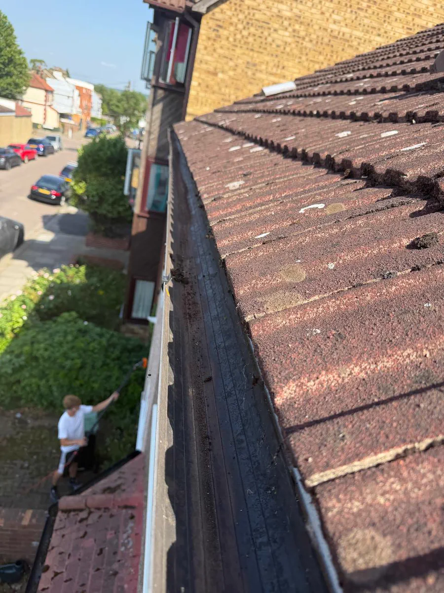 Moss growing along the ridge tiles and gutter of a house roof